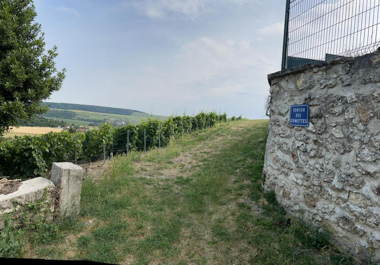 Chez Brigitte Châtillon-sur-Marne Exterior foto